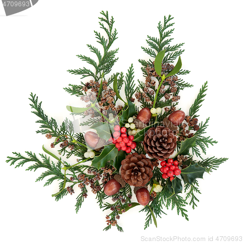 Image of Winter Christmas and New Year Floral Decoration 