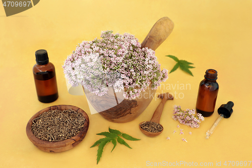 Image of Valerian Herb Root and Flowers