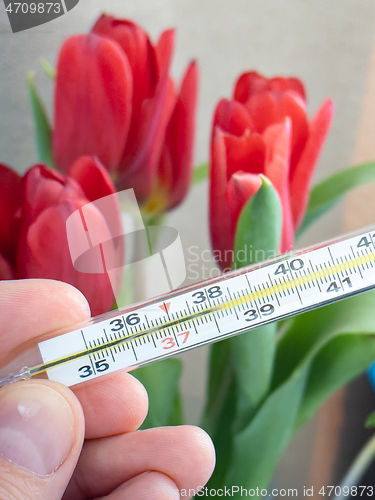 Image of Hand holding medical thermometer