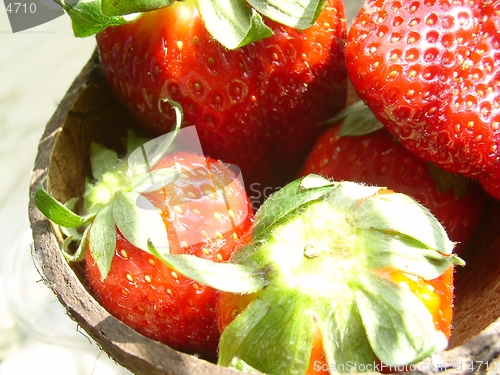 Image of strawberry