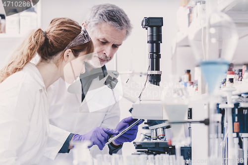 Image of Health care researchers working in scientific laboratory.