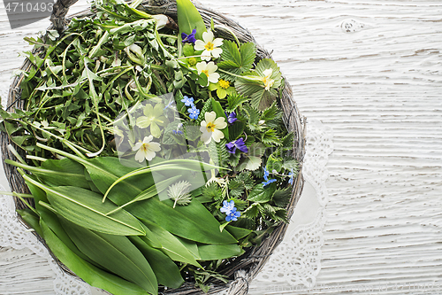 Image of Salad spring ingredients