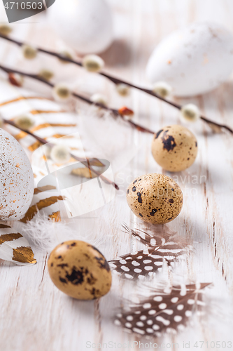 Image of Easter eggs with feathers and pussy willow branch. Easter decoration