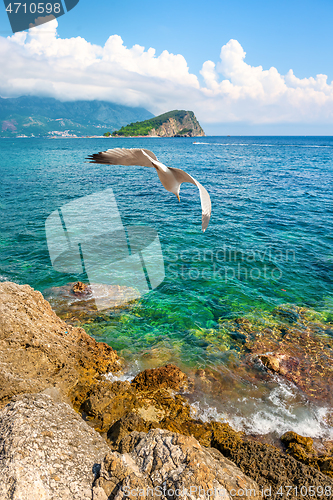 Image of Nicholas Island in Budva