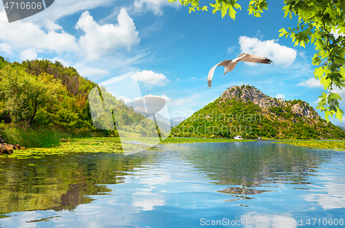 Image of Skadar lake and mountains