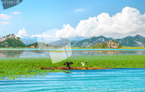 Image of Mountains and Skadar lake