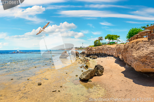 Image of Rocky coast by sea