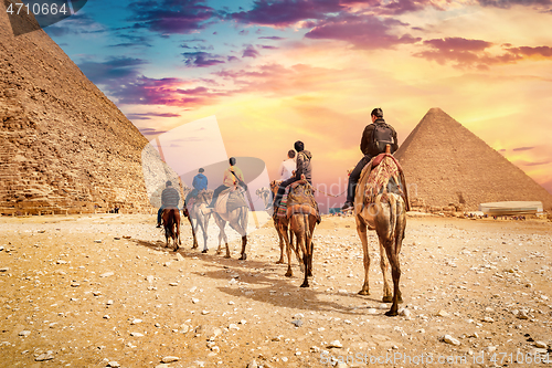 Image of Camel ride at pyramids