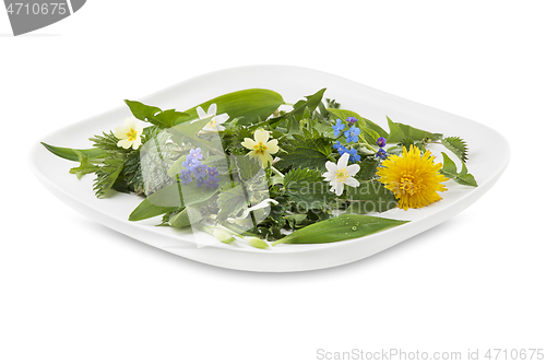 Image of Spring plants food