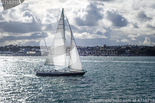 Image of Sailing ship in Auckland, New Zealand