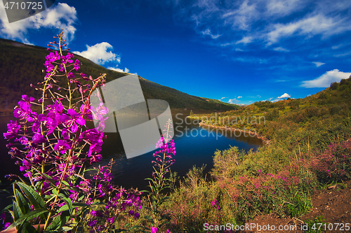 Image of Lake in the Altai Mountains