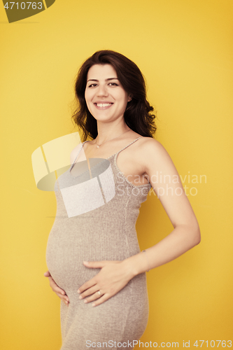 Image of Portrait of pregnant woman over yellow background