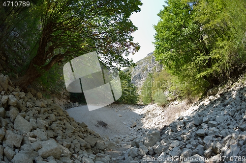 Image of wild river dried riverbed