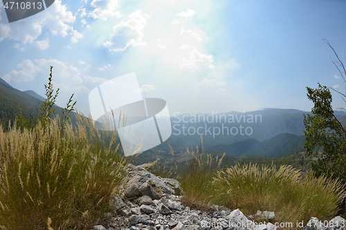 Image of summer landscape