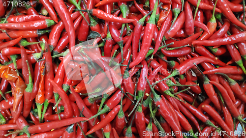 Image of Red hot chilli peppers