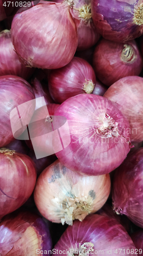 Image of Fresh organic red onions