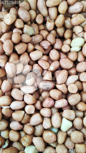 Image of Close up of peeled peanut 