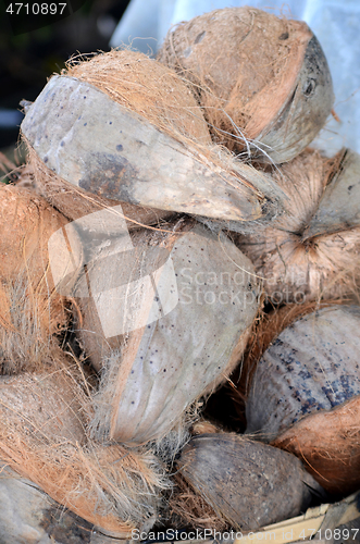 Image of Old coconuts on the market