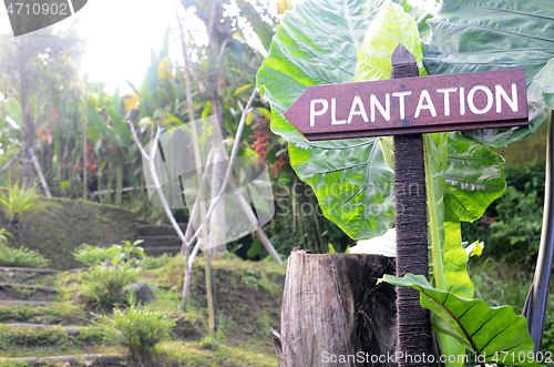 Image of Wooden direction signpost with plantation word