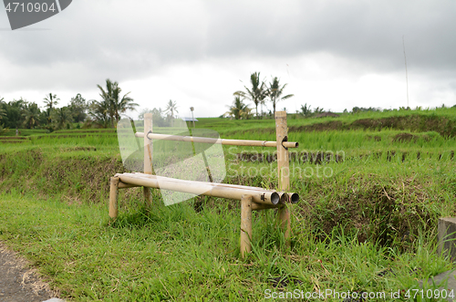 Image of Jatiluwih rice terrace in Ubud, Bali