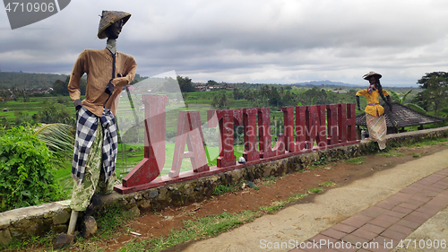 Image of Jatiluwih rice terrace with sunny day in Ubud, Bali