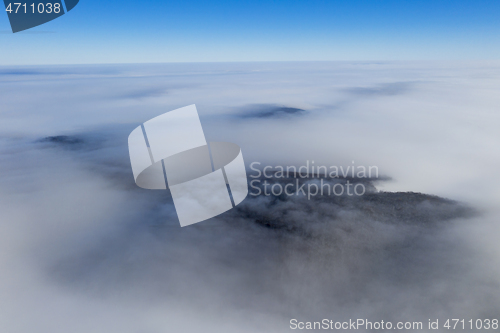 Image of Foggy forest and sea of clouds