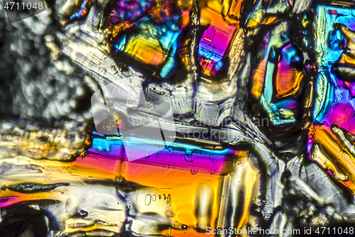 Image of Ammonium sulfate microcrystals