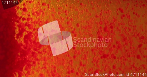 Image of Small red blood cells in fluid