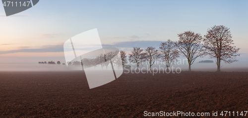 Image of Landscape covered with fog in Central Bohemian Uplands, 