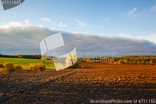 Image of On the empty field after harvesting in summer evening. 