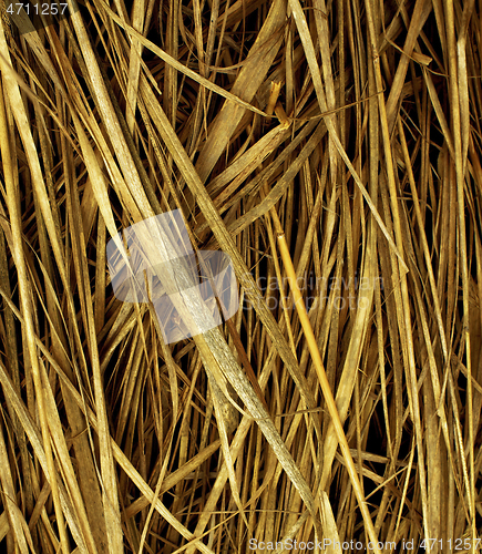 Image of Background of Dry Straw 