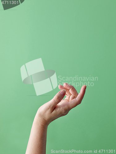 Image of hand on green background