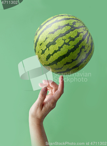 Image of watermelon and human hand