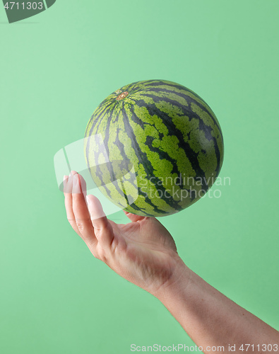 Image of watermelon and human hand