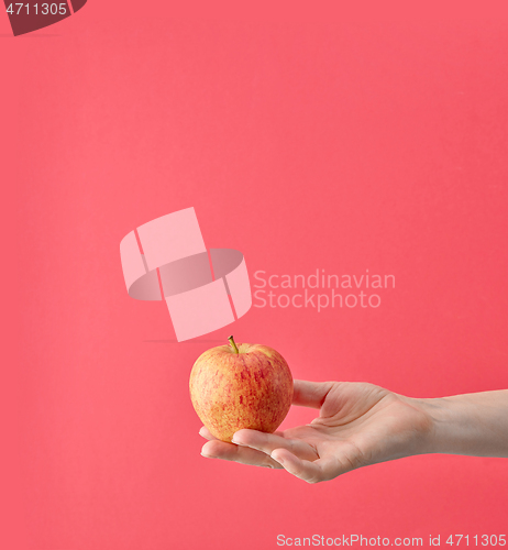 Image of fresh apple in human hand