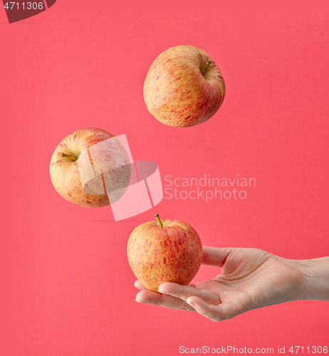 Image of fresh apple in human hand