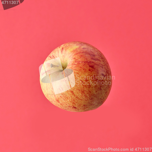 Image of fresh raw apple