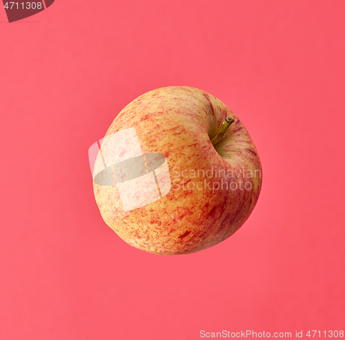 Image of one fresh raw apple