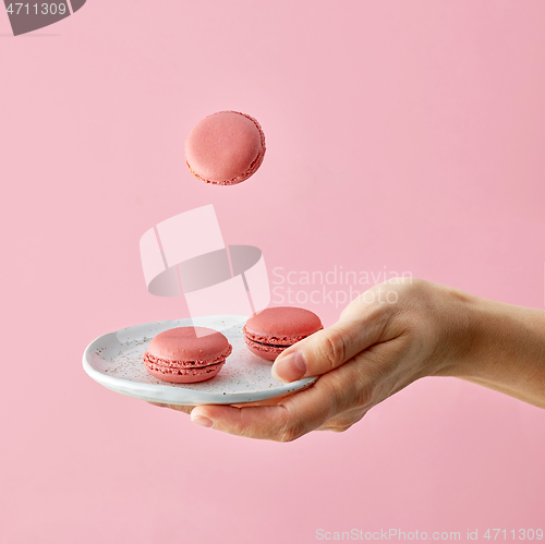 Image of plate of macaroons