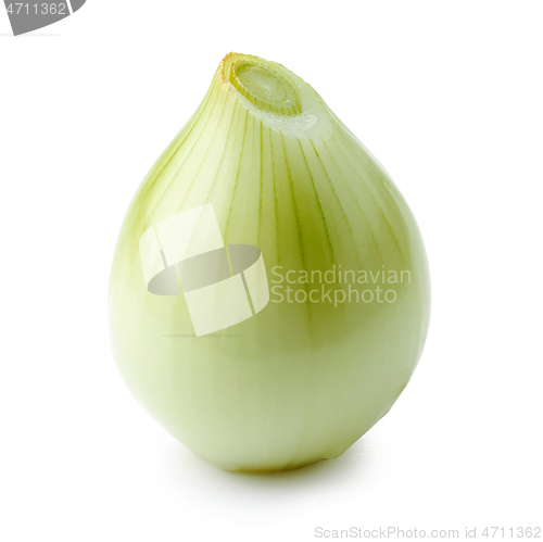 Image of fresh raw peeled onion