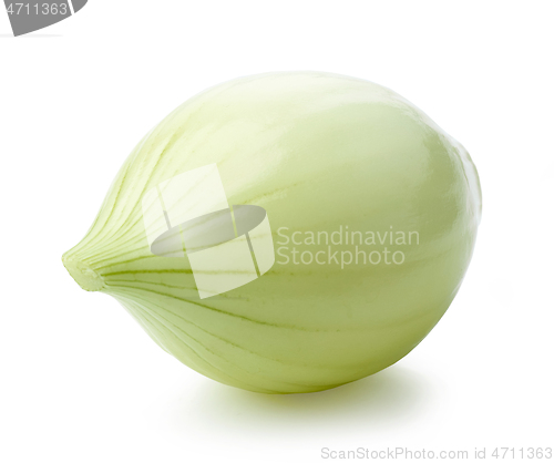 Image of fresh raw peeled onion