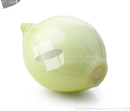 Image of fresh raw peeled onion