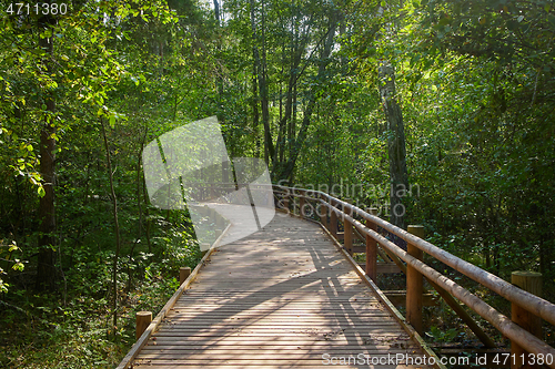 Image of wooden nature trail 