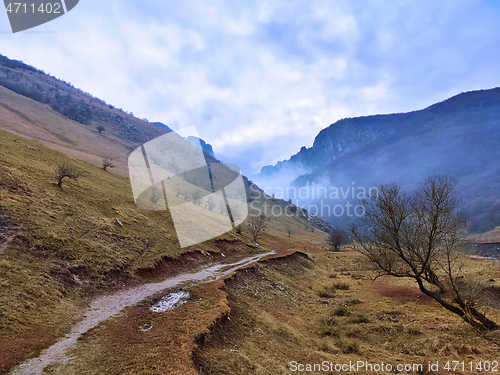 Image of Turzii gorges in a foggy day