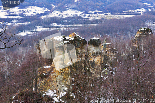 Image of Zmeilor garden protected natural area