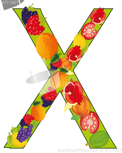 Image of Decorative letter X fruit on white background is insulated