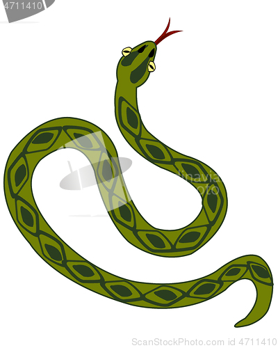 Image of Vector illustration to reptiles snake type overhand