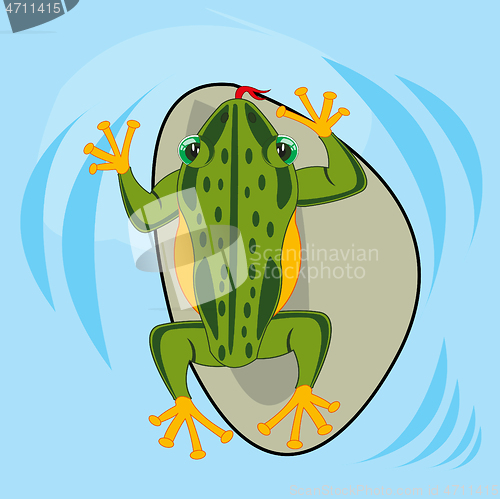 Image of Reptile amphibious frog in water type overhand