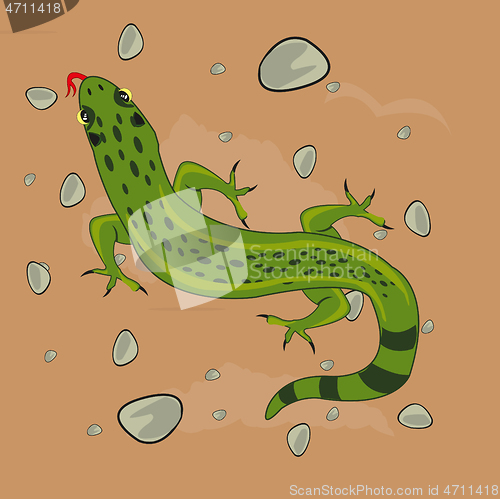 Image of Reptile animal lizard in desert type overhand