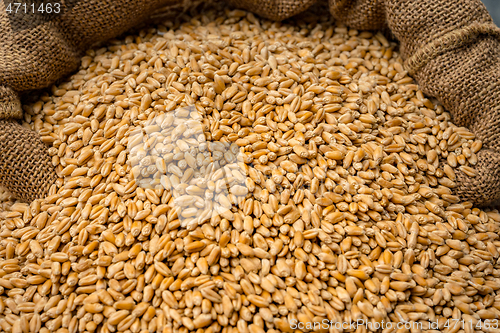 Image of Wheat grain in sack